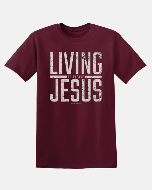 Living to Please Jesus